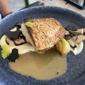 Rood - Pan seared Snapper - Desserts Near Me - Lakewood, Ohio Rood - Pan seared Snapper - Desserts Near Me - Lakewood, Ohio