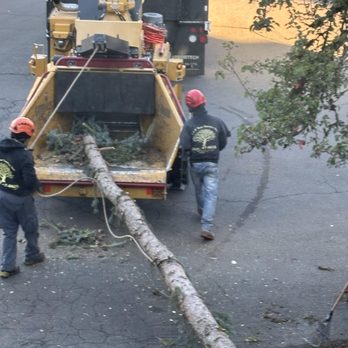 J&F Tree Service - Crew hard at work! - Tree Services Near Me - Tualatin, Oregon J&F Tree Service - Crew hard at work! - Tree Services Near Me - Tualatin, Oregon