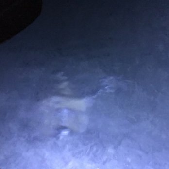 Night Kayak - Rafting/Kayaking Near Me - St. Thomas, Virgin Islands