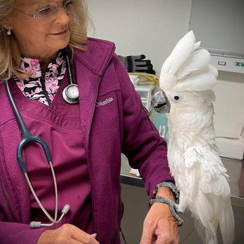 Billiar Animal Hospital - Veterinarians Near Me - Ocala, Florida Billiar Animal Hospital - Veterinarians Near Me - Ocala, Florida