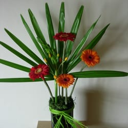 Flowers by Jules