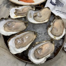 Oysters Oysters