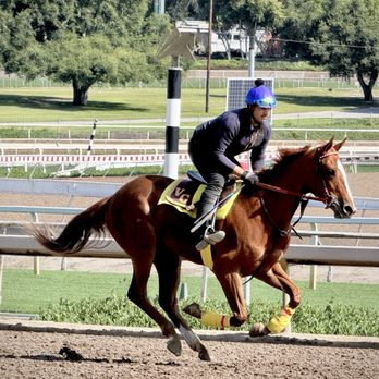Clocker's Corner - Horse exercising - Breakfast & Brunch Near Me - Arcadia, California