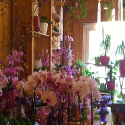Klaudia's Blumenecke
