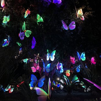 LA Zoo Lights - Zoos Near Me - Los Angeles, California LA Zoo Lights - Zoos Near Me - Los Angeles, California