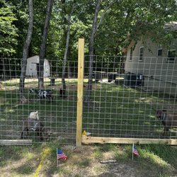 Copper Chick's Goat Cafe - GOATS!