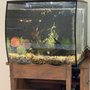 Photo of Alien Aquatics