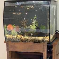 Alien Aquatics