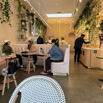 Coffee and Plants - View of the whole shop - Coffee & Tea Near Me - Studio City, California Coffee and Plants - View of the whole shop - Coffee & Tea Near Me - Studio City, California