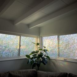Professional Window Tinting - Decorative window film