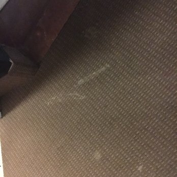 Paradise Stream - More stains all over the floor - Ski Resorts Near Me - Cresco, Pennsylvania Paradise Stream - More stains all over the floor - Ski Resorts Near Me - Cresco, Pennsylvania
