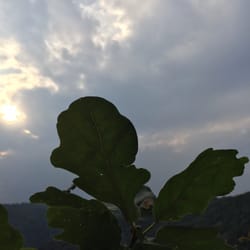 Rosstrappe - ... Momente ...