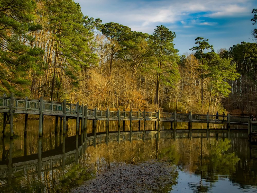 Virginia Living Museum Newport News Roadtrippers