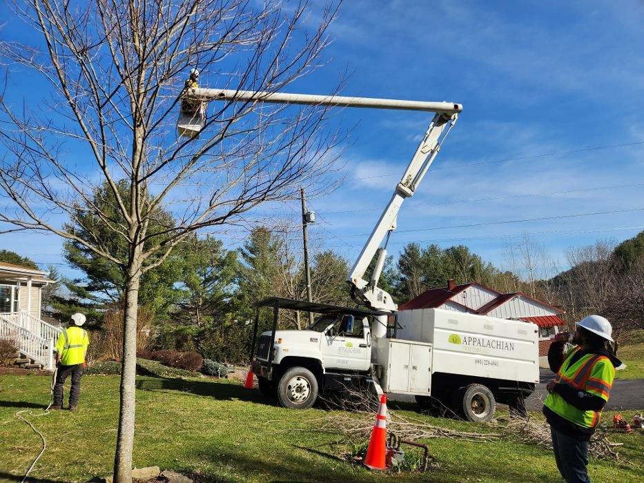 APPALACHIAN TREE CARE Daniels, West Virginia Tree Services Phone