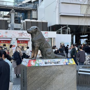 忠犬ハチ公と上野博士のお墓 - Updated February 2026 - 17 Photos