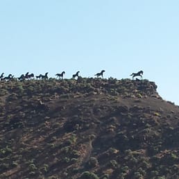 The wild horse monument atop the hill