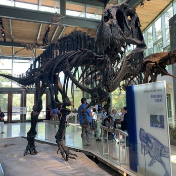 Witte Museum - Museums Near Me - San Antonio, Texas Witte Museum - Museums Near Me - San Antonio, Texas