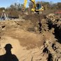 Photo of Lite Land Management