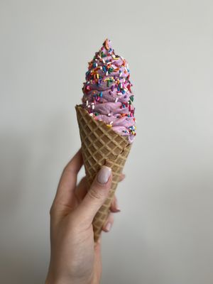 Nico's Ice Cream by null