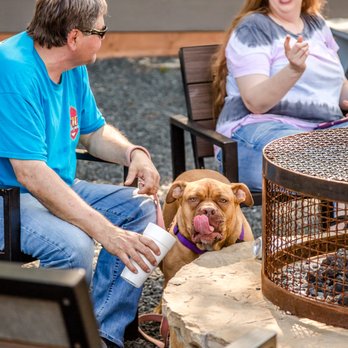 The Yard - Puppies welcome to join us too! - Sports Bars Near Me - McKinney, Texas The Yard - Puppies welcome to join us too! - Sports Bars Near Me - McKinney, Texas