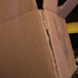 United States Postal Service - Already Ripped box before I opened this item!