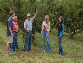 Clark Family Orchards by null