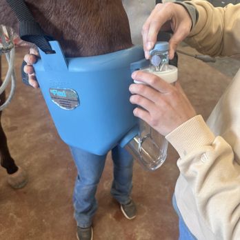 Jackpot Veterinary Center - Alpha2EQ - Veterinarians Near Me - Tucson, Arizona