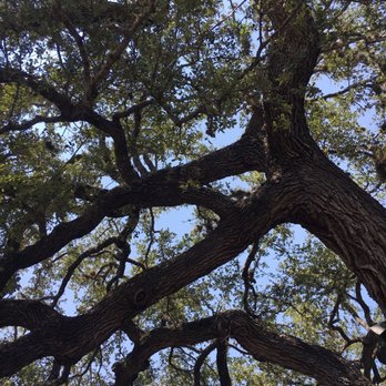 Bending Branch Winery - Wine Tours Near Me - Comfort, Texas