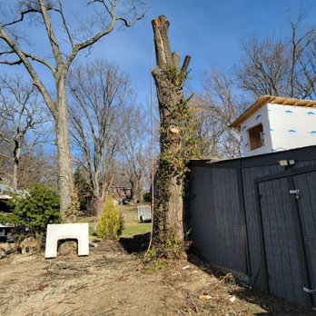 GAD Tree Experts - Tree Services Near Me - Moraine, Ohio GAD Tree Experts - Tree Services Near Me - Moraine, Ohio