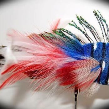 Project Healing Waters Fly Fishing - The countries colors in respect of those who served us so well! - Fishing Near Me Project Healing Waters Fly Fishing - The countries colors in respect of those who served us so well! - Fishing Near Me