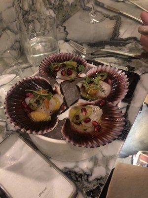 Ceviche Project by null Ceviche Project by null