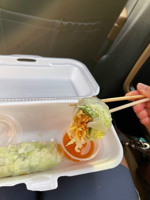 Veggie Garden by null