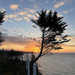 Sea Cliff Gardens - Sunset night 4.