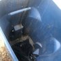 Photo of Northside Window & Gutter Cleaning