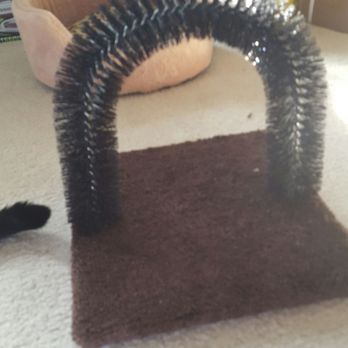 PetSmart Dog Training - Scratching post(See my cat's tail on the left...he's stalking it!) - Pet Groomers Near Me - Manassas, Virginia