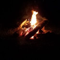 Prairie Pines Campground