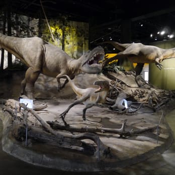 Royal Tyrrell Museum - Run, run for your life! - Museums Near Me - Drumheller, Alberta Royal Tyrrell Museum - Run, run for your life! - Museums Near Me - Drumheller, Alberta