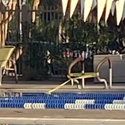 Life Time - Closed swimming pool