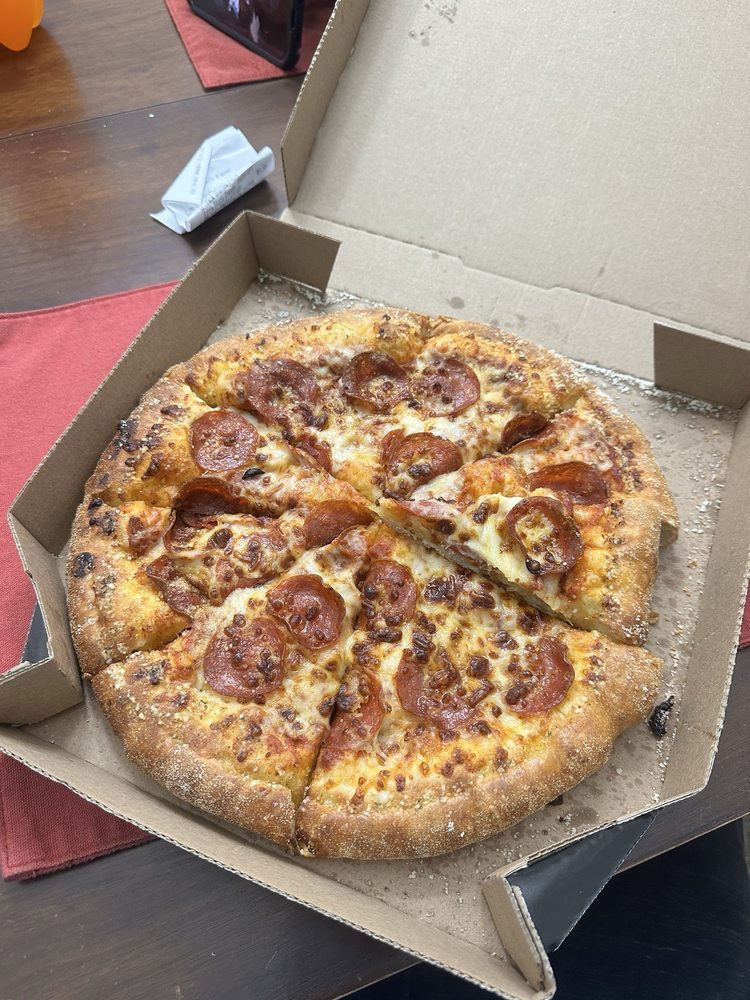 Domino's Pizza Logo