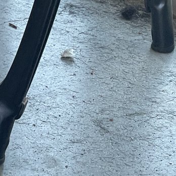 Blur Mens Salon - People's hair on floor not cleaned up - Men's Hair Salons Near Me - Moreno Valley, California Blur Mens Salon - People's hair on floor not cleaned up - Men's Hair Salons Near Me - Moreno Valley, California