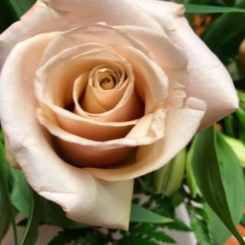 Rutland Beard Florist - Florists Near Me - Baltimore, Maryland