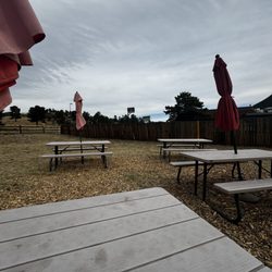 Kissing Moose Cafe