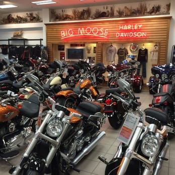 Harley Davidson Portland >> Big Moose Harley Davidson 36 Fotos Y 11 Resenas Harley Davidson Portland >> Big Moose Harley Davidson 36 Fotos Y 11 Resenas
