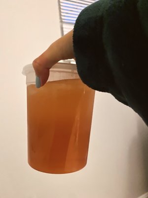 Good Fortune by null