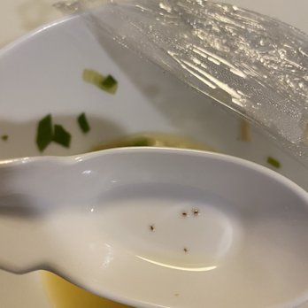 Yin Ji Chang Fen - Berkeley - Cantonese Near Me - Berkeley, California Yin Ji Chang Fen - Berkeley - Cantonese Near Me - Berkeley, California