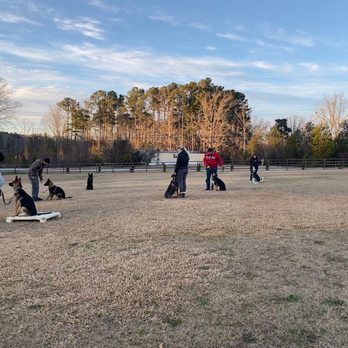 Quality K9 Concepts - Pet Training Near Me - Wrens, Georgia Quality K9 Concepts - Pet Training Near Me - Wrens, Georgia