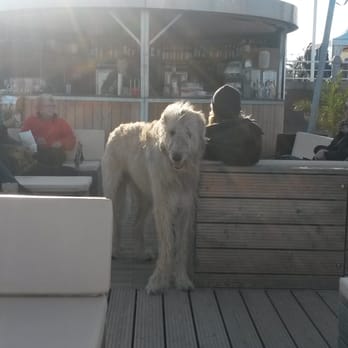 Ostseelounge - Beach Bars Near Me - Lübeck, SH Ostseelounge - Beach Bars Near Me - Lübeck, SH