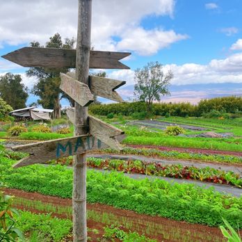 O'o Farms - Food Tours Near Me - Kula, Hawaii