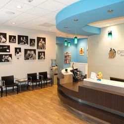 Dapper Kids Dental - Office