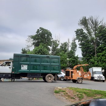 Julio's Tree Services - a dump truck and a truck - Tree Services Near Me